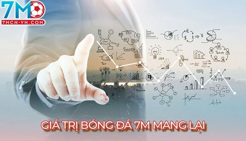 Các sản phẩm 7m đem lại cho người dùng