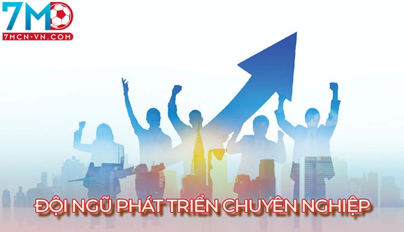 Đội ngũ website chuyên nghiệp