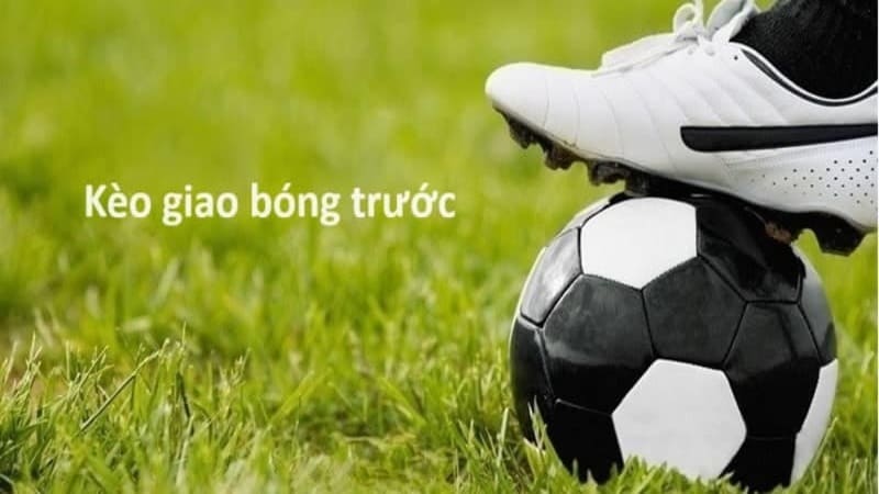 Tỷ lệ thưởng mà bạn nên biết